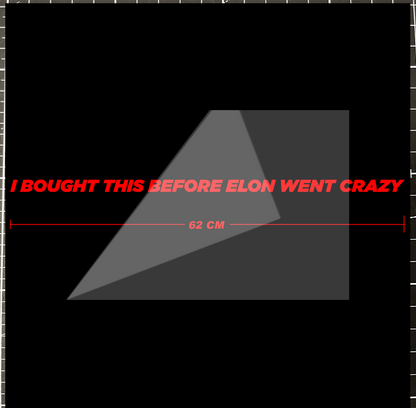 I BOUGHT THIS BEFORE ELON WENT CRAZY - TESLA Vinyl  Sticker 62 cm (Horizontal)