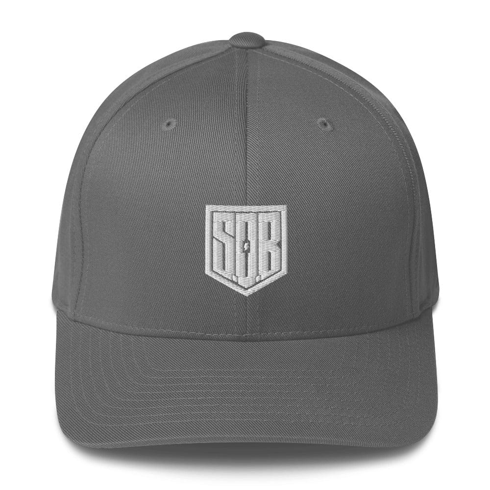 Printful Grau / S/M S.o.B Flexfit Cap E-Bike-Community